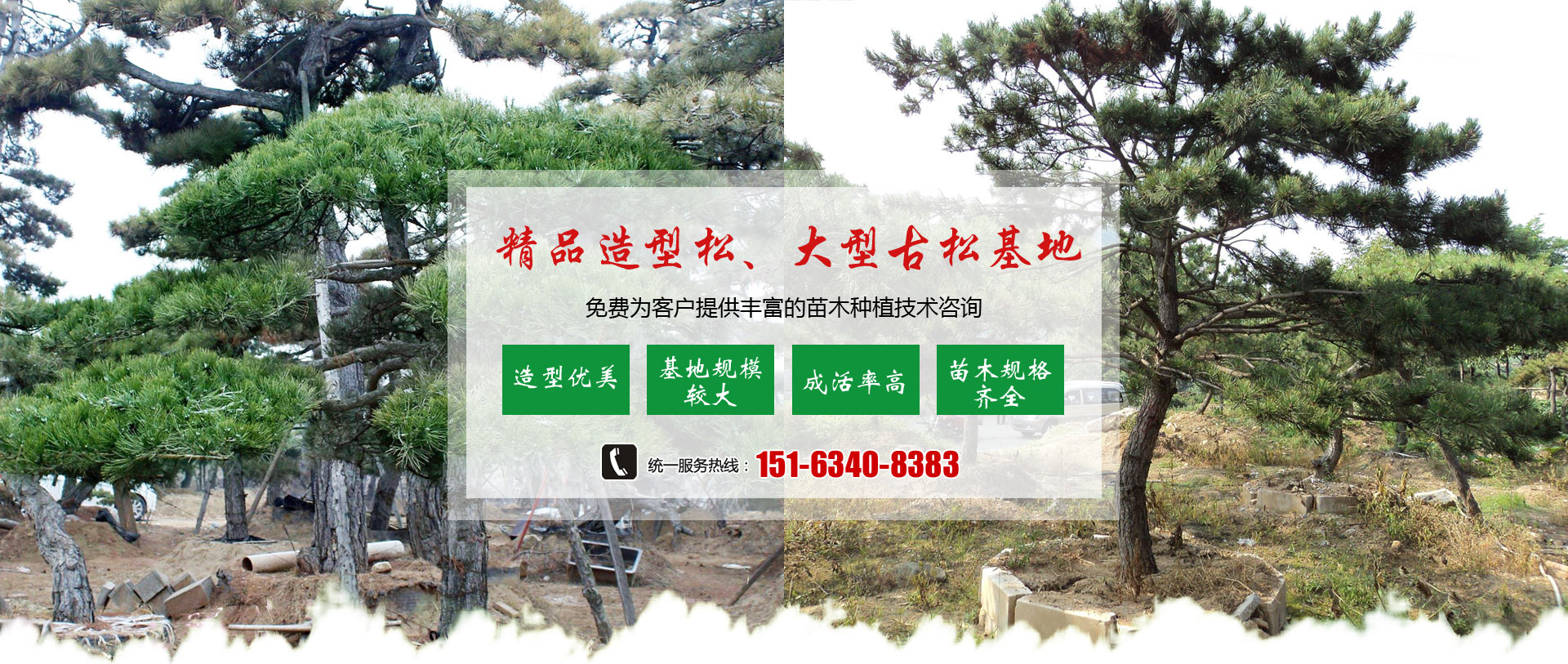 济南市钢城区晟瑞祥园林有限公司