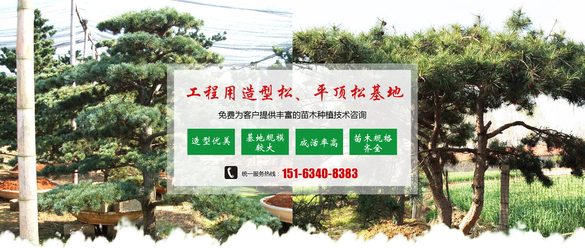 济南市钢城区晟瑞祥园林有限公司